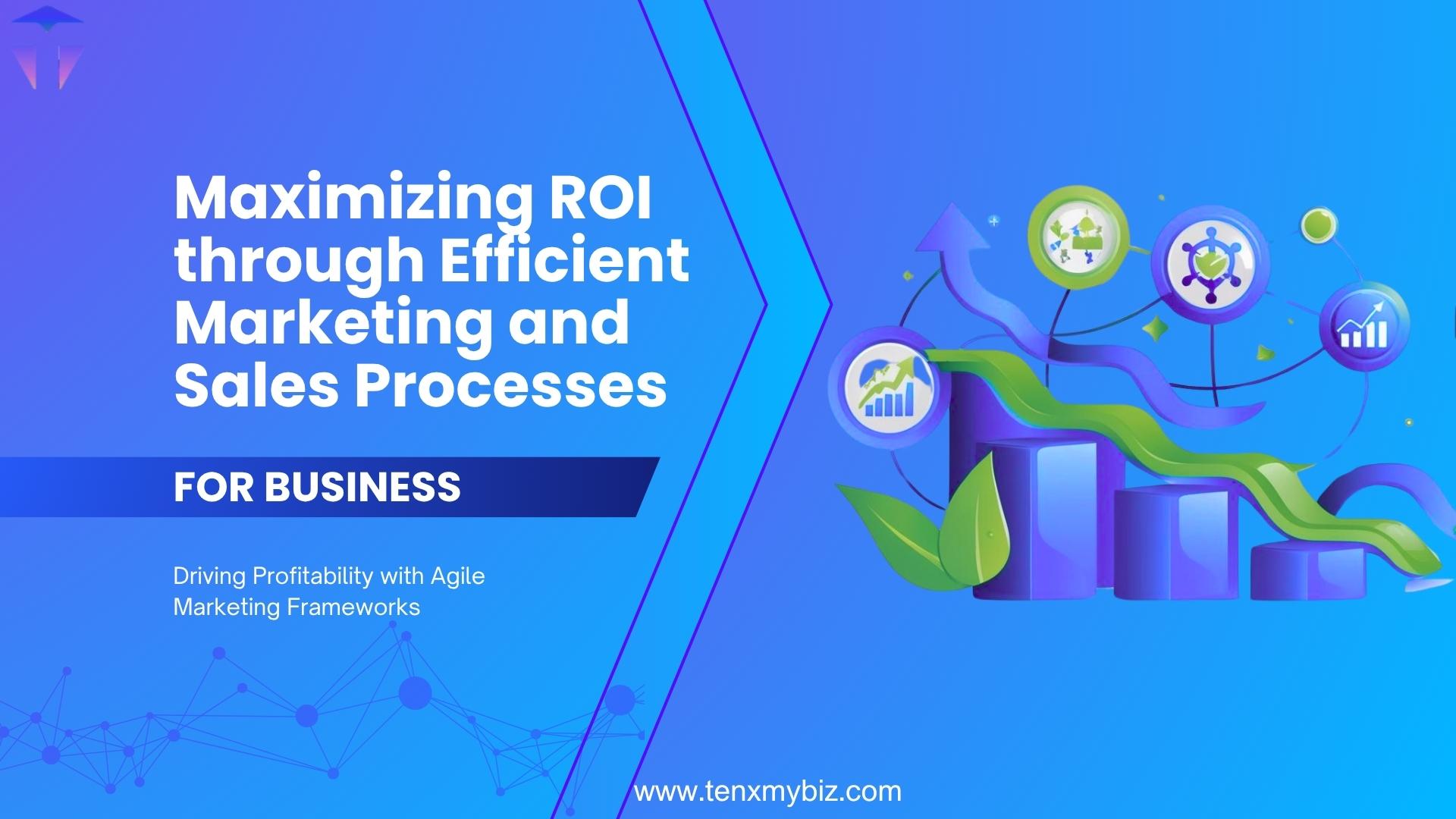 Maximizing ROI through Efficient Marketing and Sales Processes