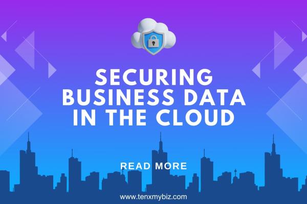 Securing Business Data in the Cloud